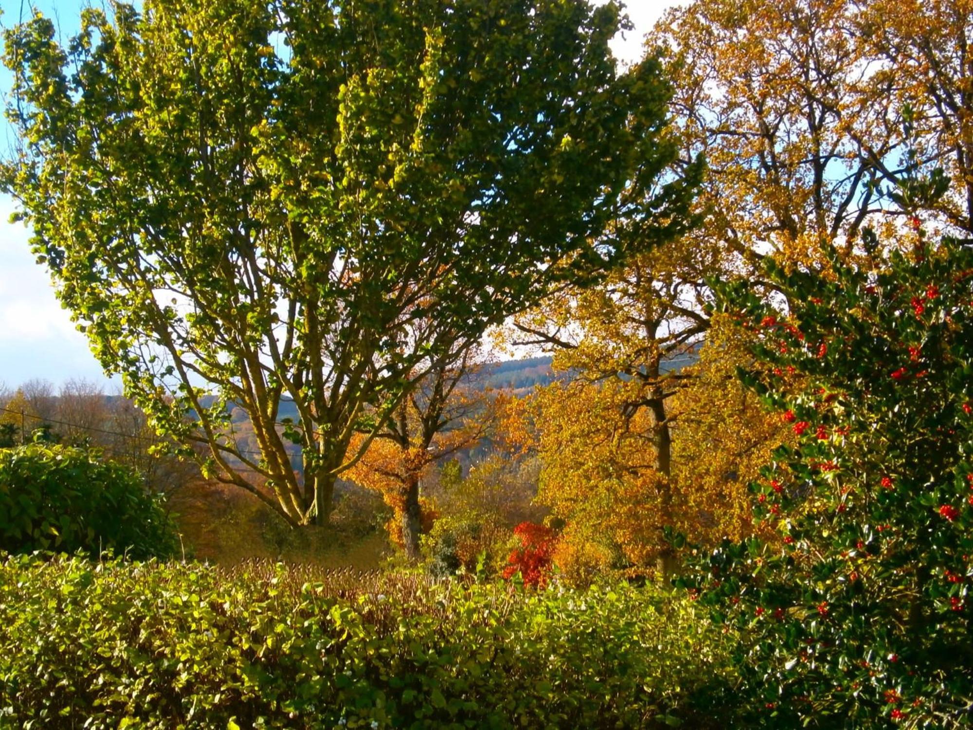 Bed and Breakfast Le Renard'Or Trois-Ponts Zewnętrze zdjęcie