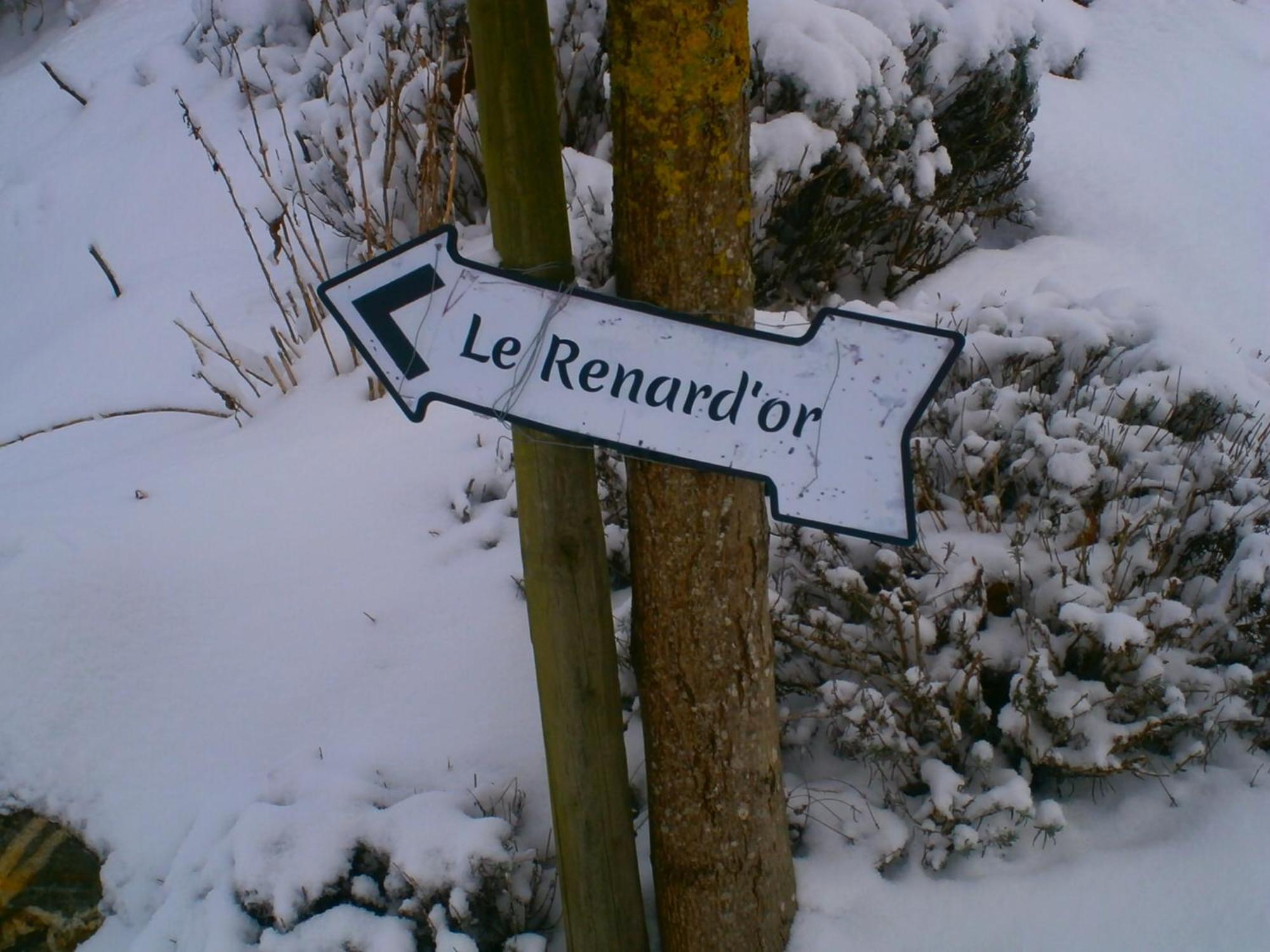 Bed and Breakfast Le Renard'Or Trois-Ponts Zewnętrze zdjęcie